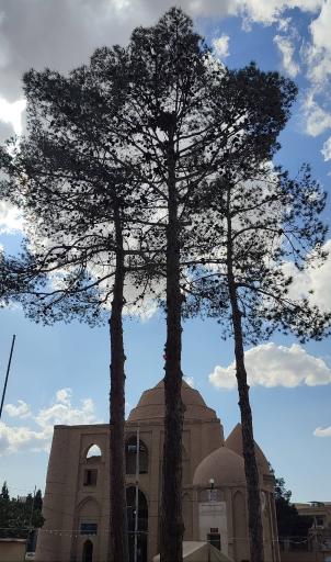 عکس بنای تاریخی چهل دختر 