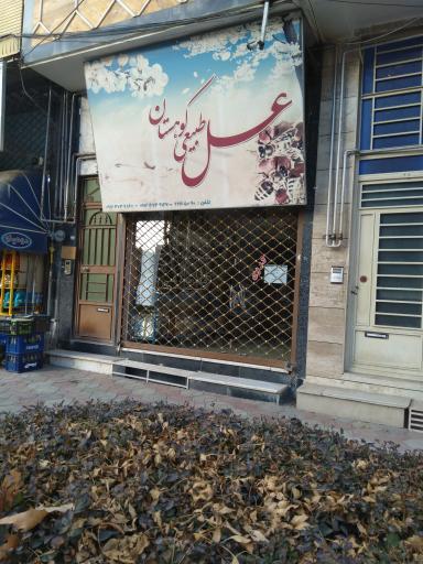 عکس عسل طبیعی کوهستان