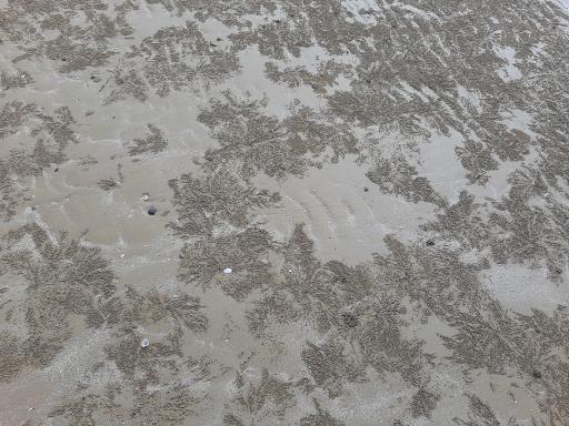 عکس ساحل طبیعی پارک‌ لیان