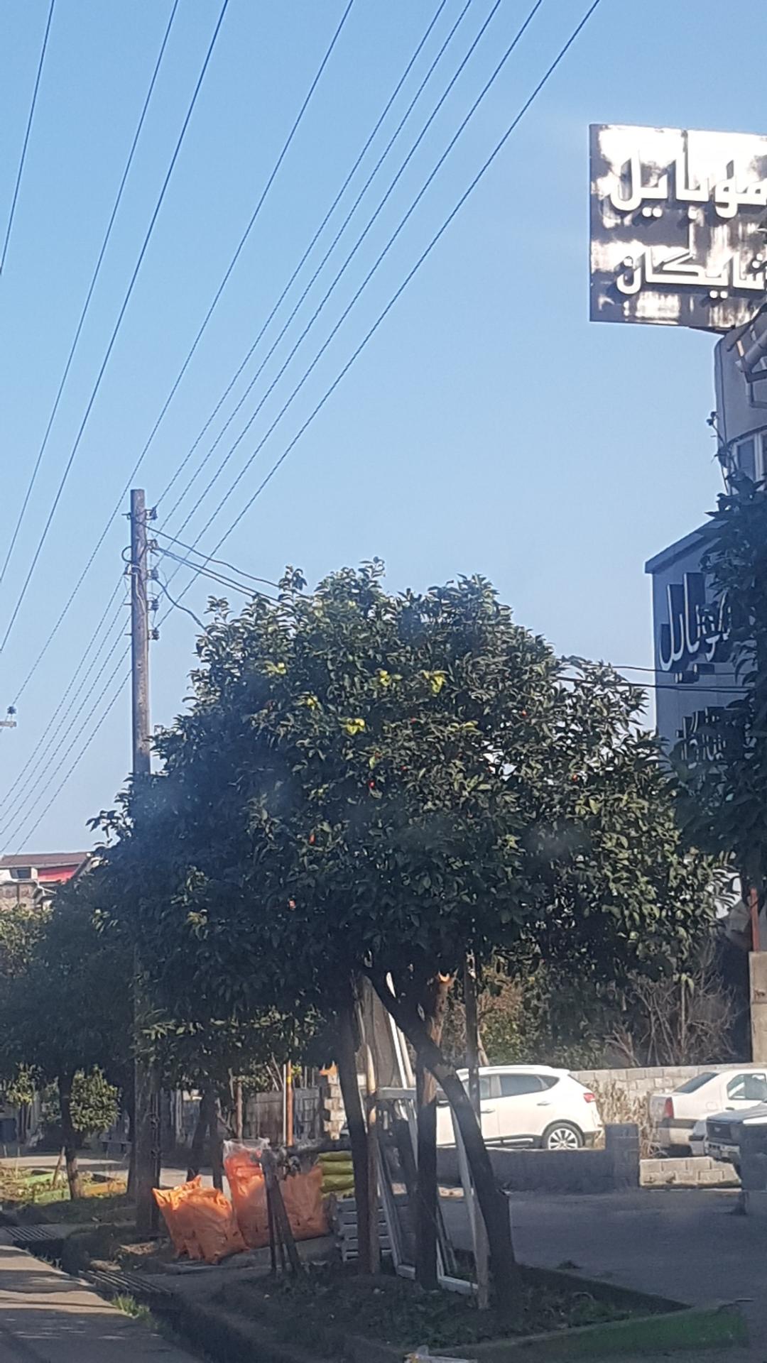 عکس موبایل شایگان
