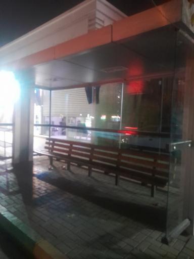 عکس  پیروزی 29