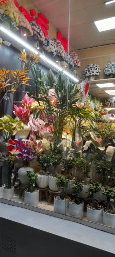 عکس گل فروشی گل گندم