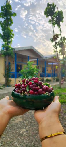 عکس اقامتگاه کلبه آبی ۲