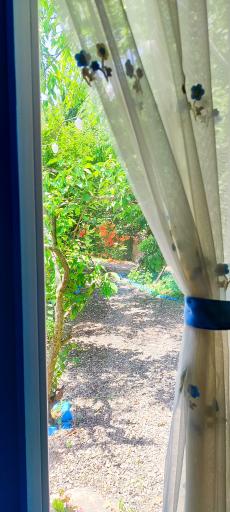 عکس اقامتگاه کلبه آبی ۲