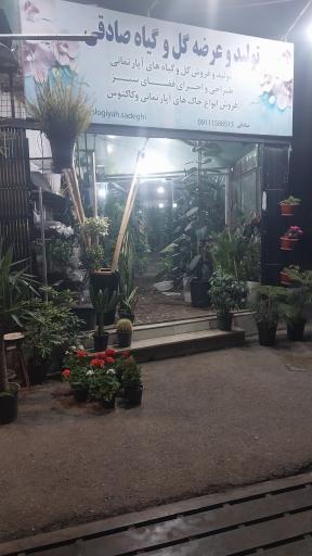 عکس گلخانه صادقی 