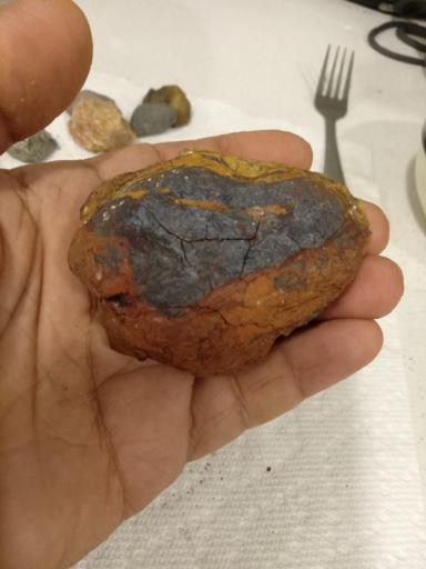 عکس موزه سنگ و فسیل سنگسر