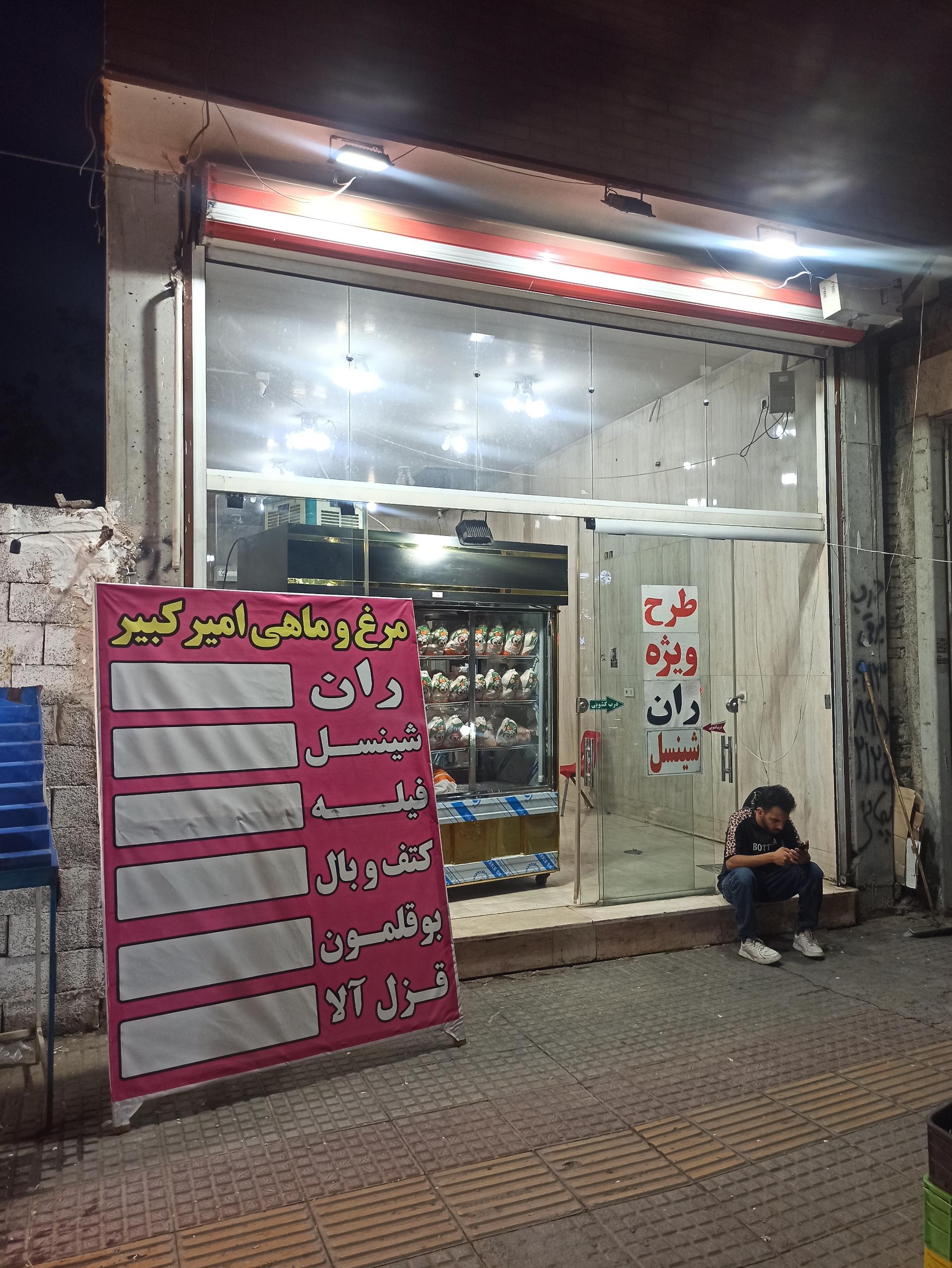 عکس مرغ و ماهی امیر کبیر