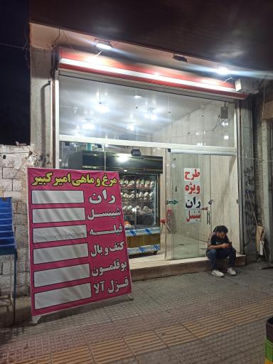 عکس مرغ و ماهی امیر کبیر