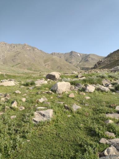 عکس حیدره دارامام