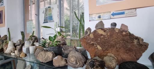 عکس موزه سنگ و فسیل سنگسر