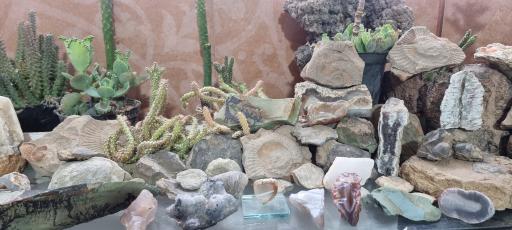 عکس موزه سنگ و فسیل سنگسر