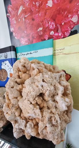 عکس موزه سنگ و فسیل سنگسر