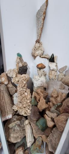 عکس موزه سنگ و فسیل سنگسر