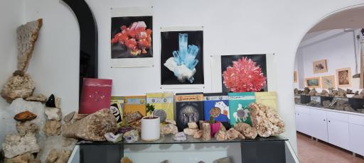 عکس موزه سنگ و فسیل سنگسر