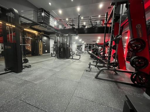 عکس باشگاه ضربان