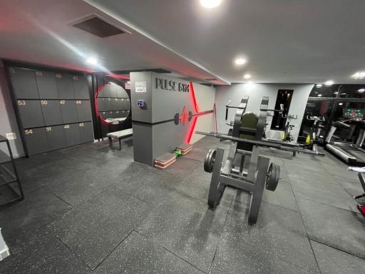 عکس باشگاه ضربان