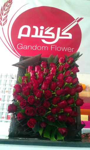 عکس گل فروشی گل گندم