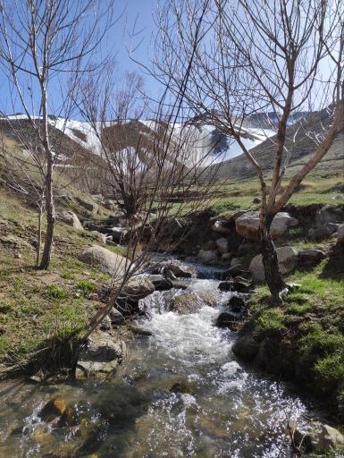 عکس حیدره دارامام