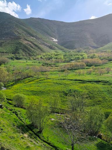 عکس حیدره دارامام