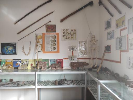 عکس موزه سنگ و فسیل سنگسر