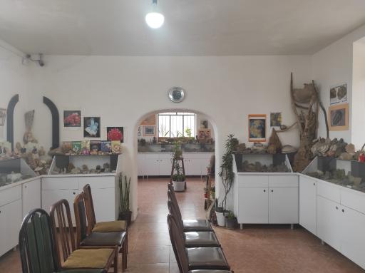 عکس موزه سنگ و فسیل سنگسر