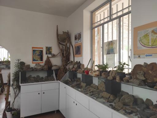 عکس موزه سنگ و فسیل سنگسر