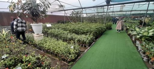 عکس بازار گل و گیاه فکوری