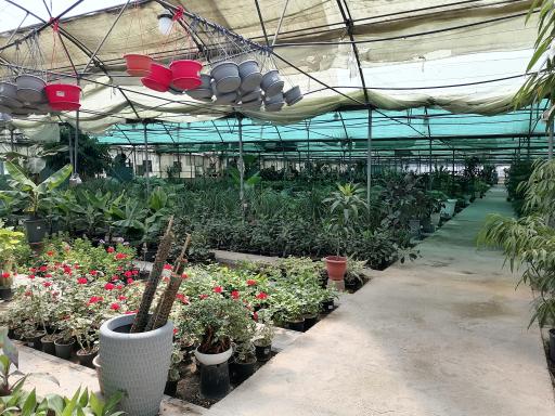 عکس بازار گل و گیاه فکوری