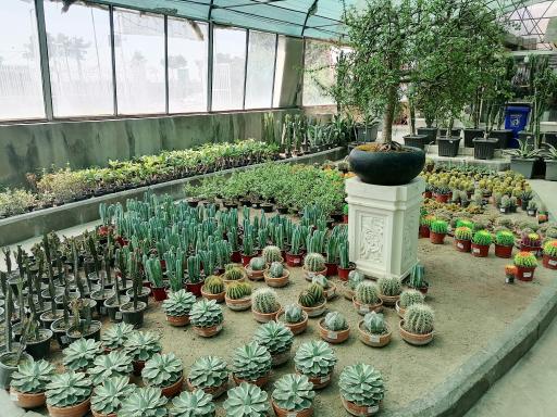 عکس بازار گل و گیاه فکوری