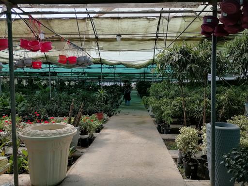 عکس بازار گل و گیاه فکوری