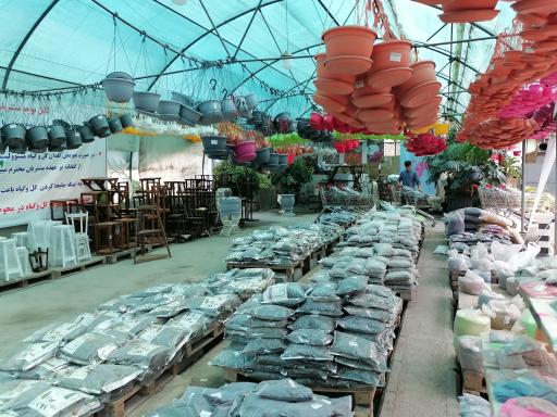 عکس بازار گل و گیاه فکوری