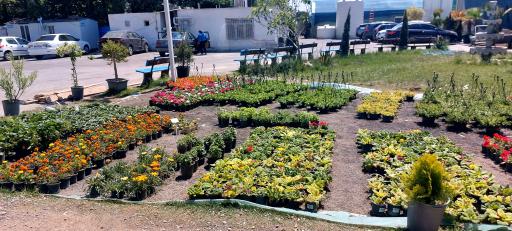 عکس بازار گل و گیاه فکوری