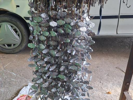 عکس آبکاری ستاره شرق