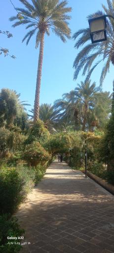 عکس باغ گلشن