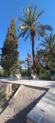 عکس باغ گلشن