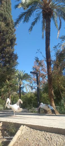 عکس باغ گلشن