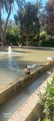 عکس باغ گلشن