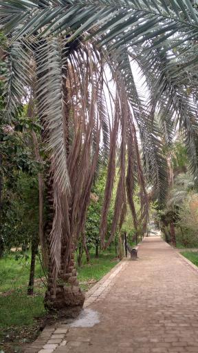 عکس باغ گلشن