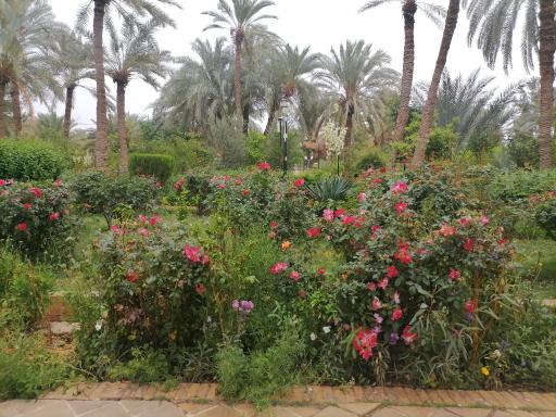 عکس باغ گلشن