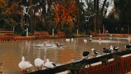 عکس باغ گلشن