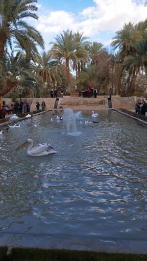 عکس باغ گلشن