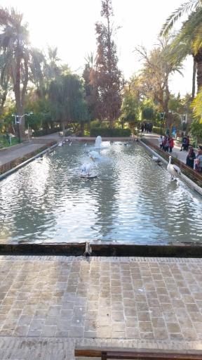 عکس باغ گلشن