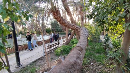 عکس باغ گلشن