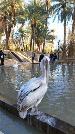 عکس باغ گلشن