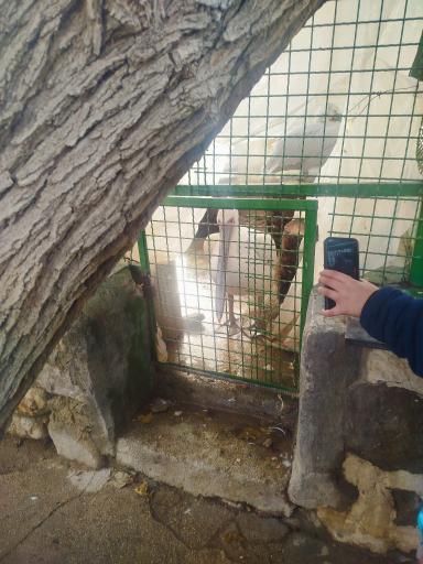 عکس باغ گلشن