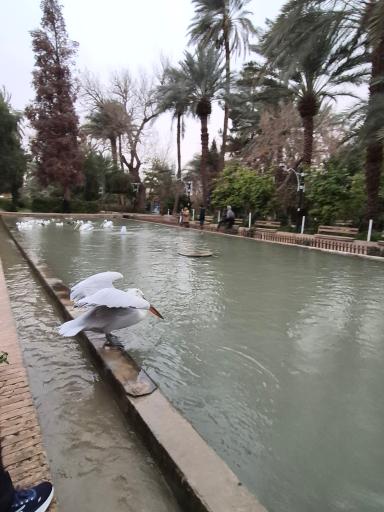 عکس باغ گلشن