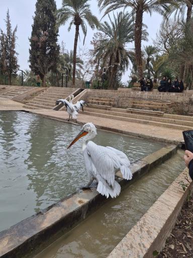 عکس باغ گلشن