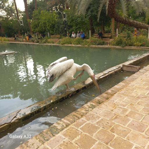 عکس باغ گلشن