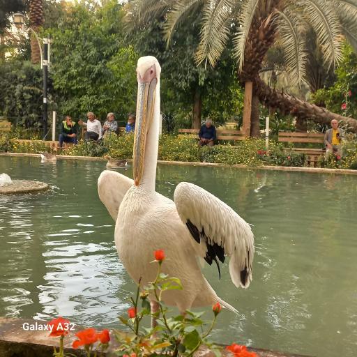 عکس باغ گلشن