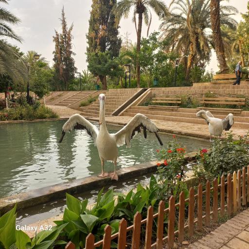عکس باغ گلشن
